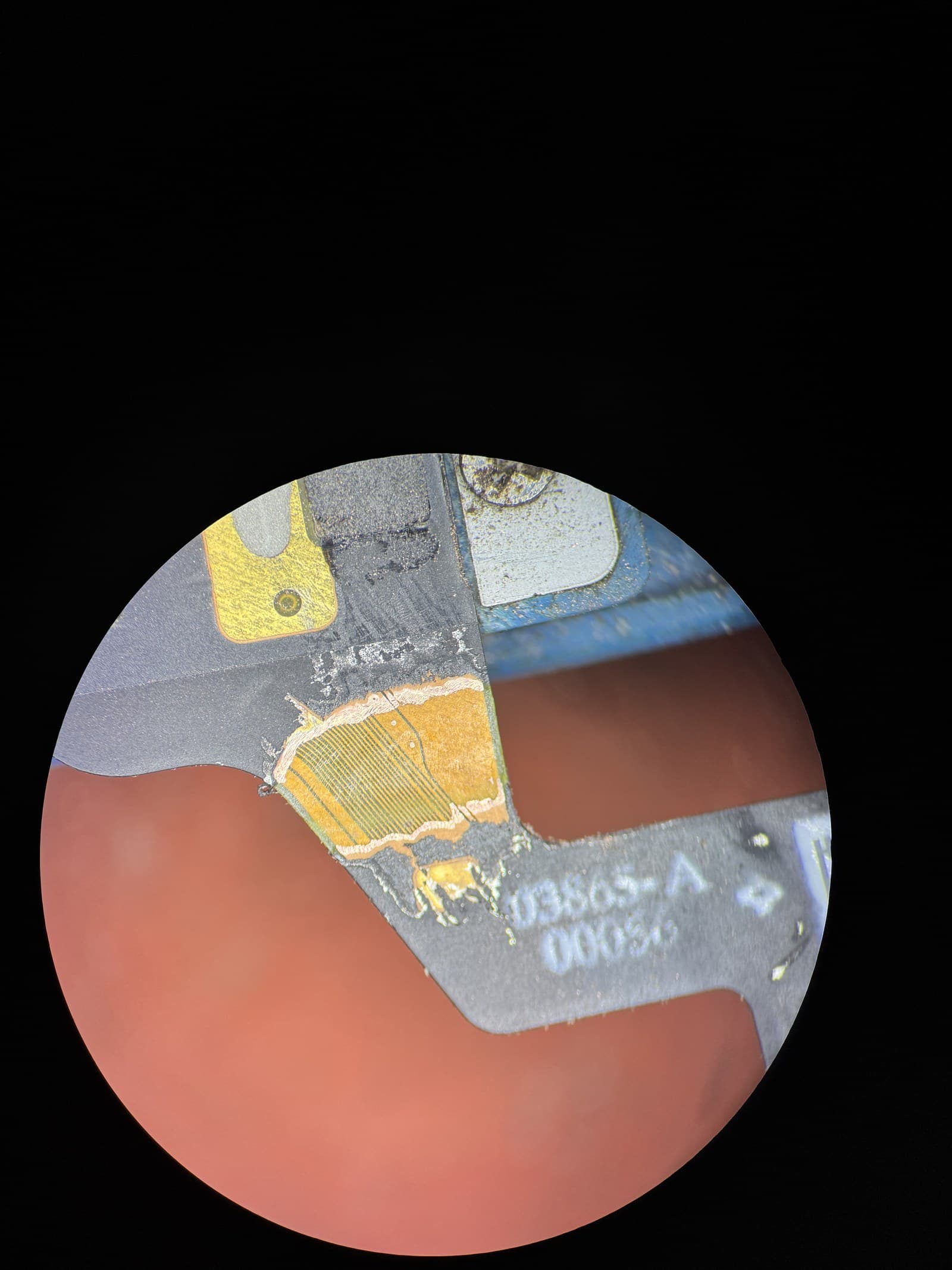 Full iPhone board — in-hand inspection